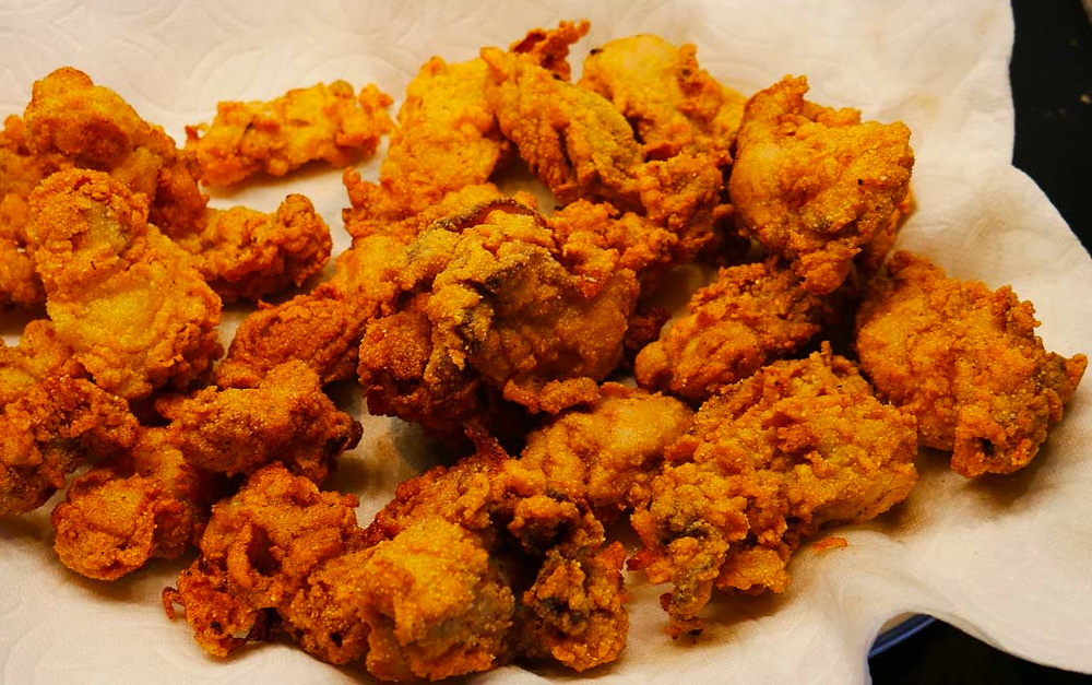 fried oysters