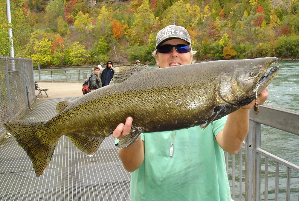 Mike Rzucidlo salmon