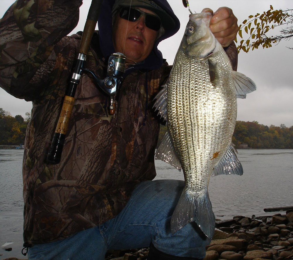 Mike Rzucidlo white bass