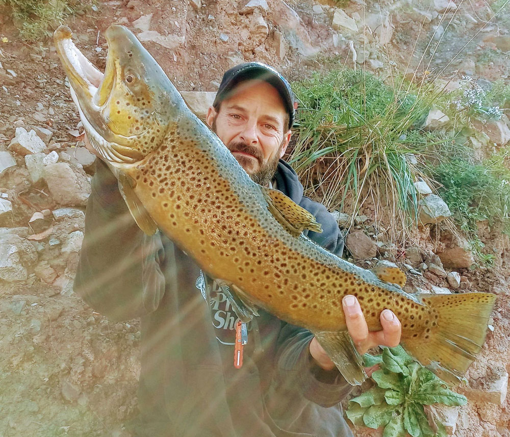 Mike Ziehm brown trout