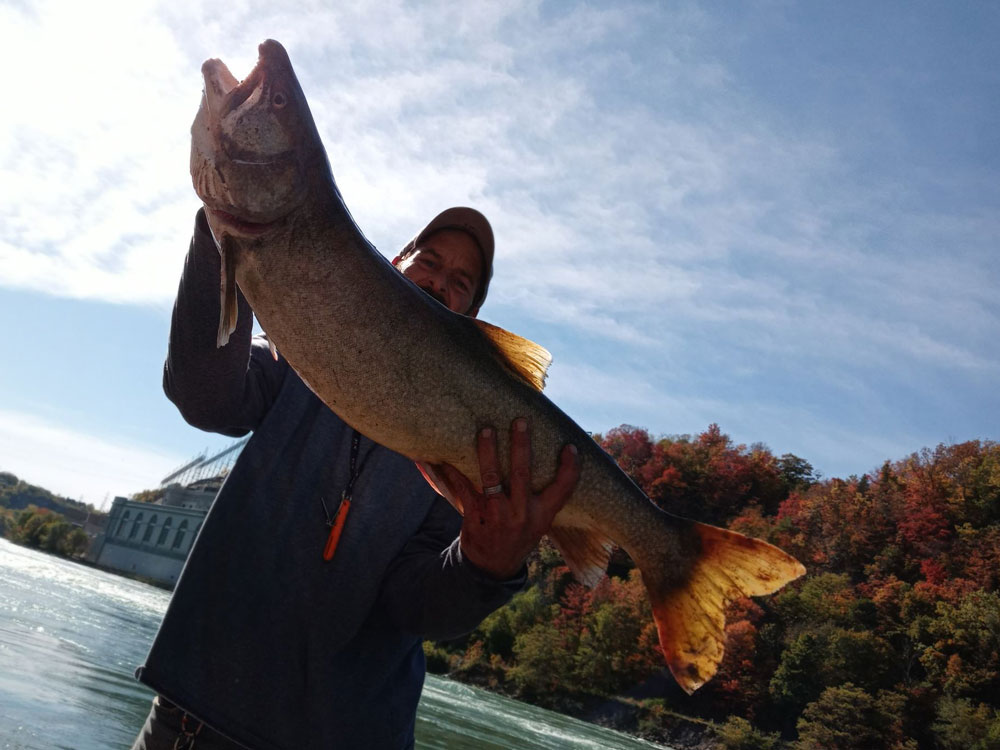 Mike Ziehm lake trout