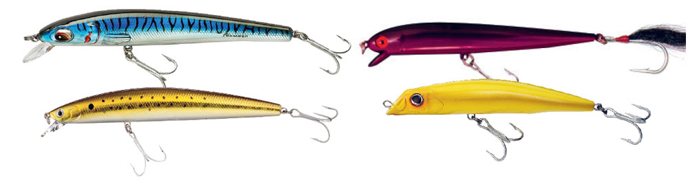 plastic lipped swimmers