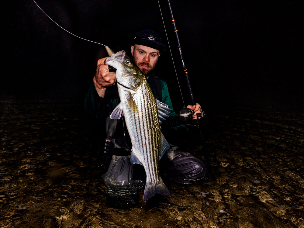 Schoolie striper