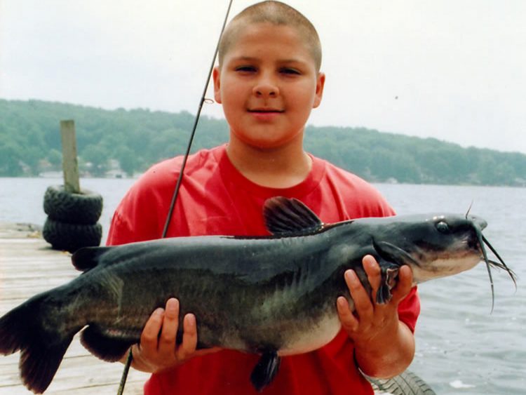 NJ "Super Cat" stocking