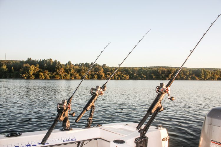 Vinciguerra sets live alewives at a variety of depths while drifting through Beltzville.
