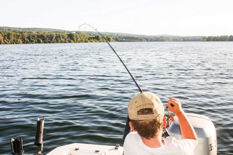 On light tackle, landlocked stripers have just as much fight as their saltwater counterparts.
