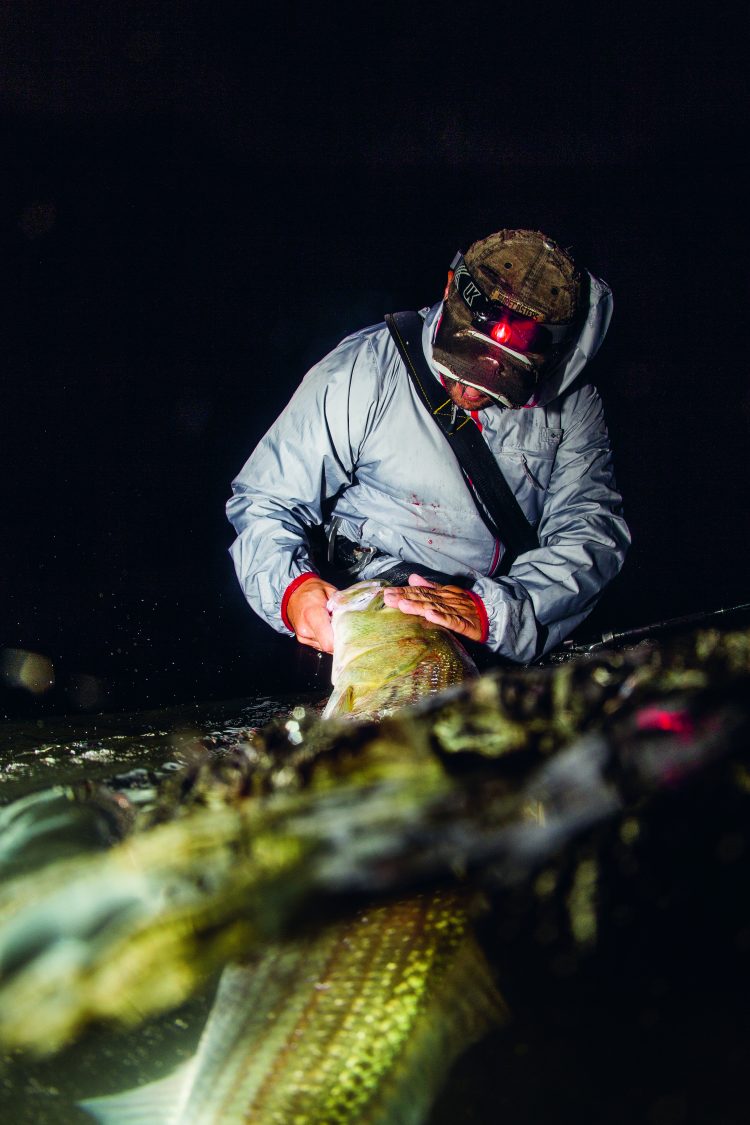 "By the time my eel landed in the water and the slack was reeled up, my misgivings--and my bait--were annihilated."