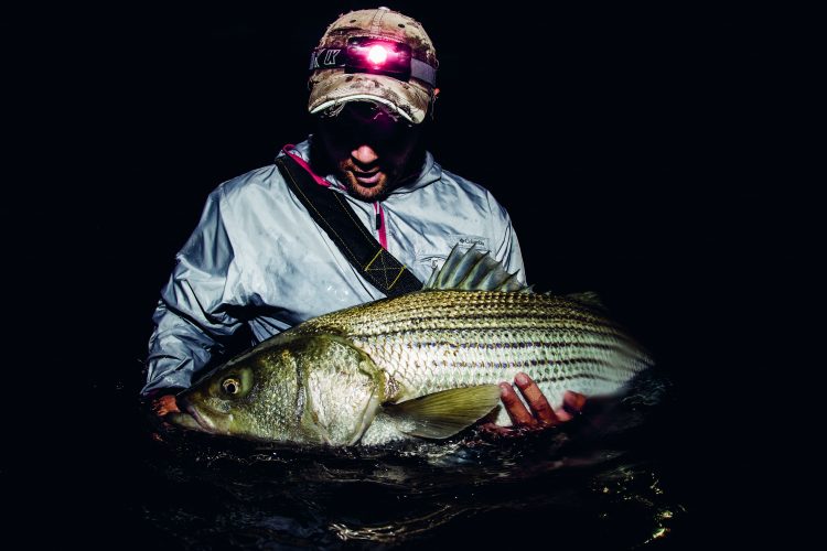 Steve Gallant posing with a large striper.