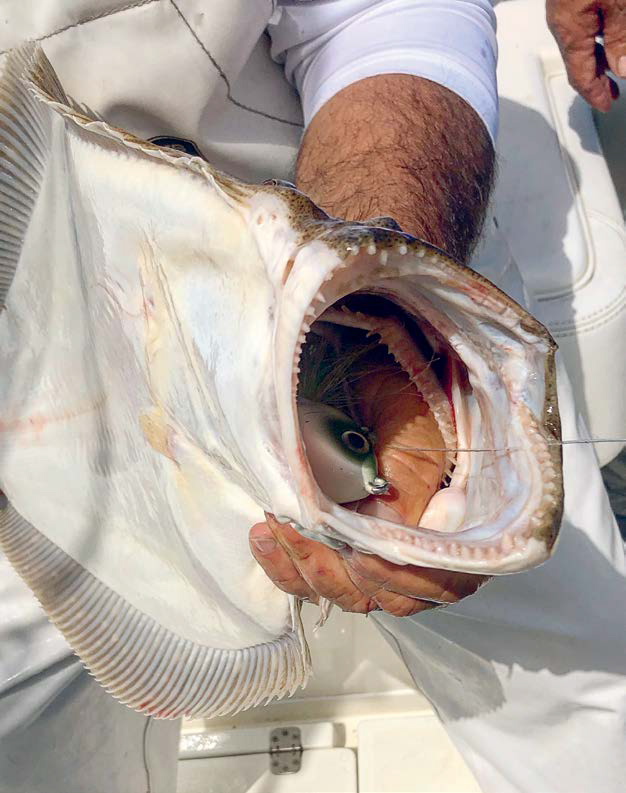 Fluke have no problem engulfing big jigs. Somewhere in the mouth of this 7-pounder is a 6-ounce bucktail.