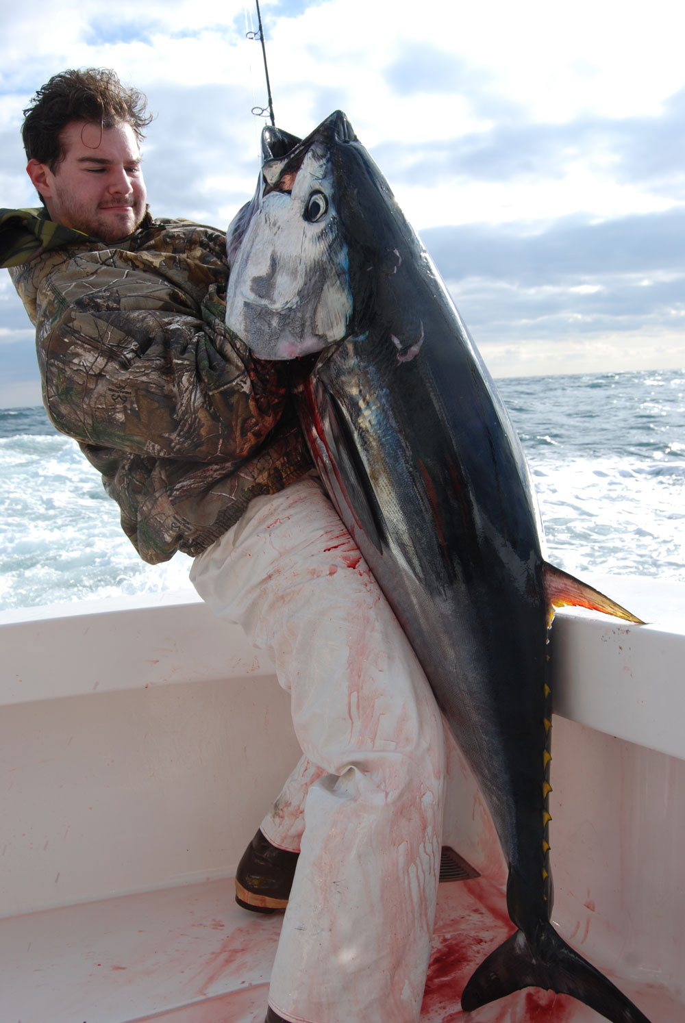 New Jersey Stripers, Bluefish, and Tuna in November