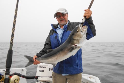 Jeff Branco was fishing with the author last season when he hooked this alligator on light tackle. Jeff caught and released two stripers in the 20-pound class on the same tackle that morning, but said that the bluefish fought harder.