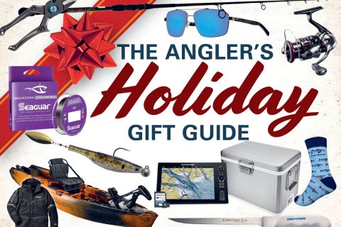 2020 Holiday Gift Guide