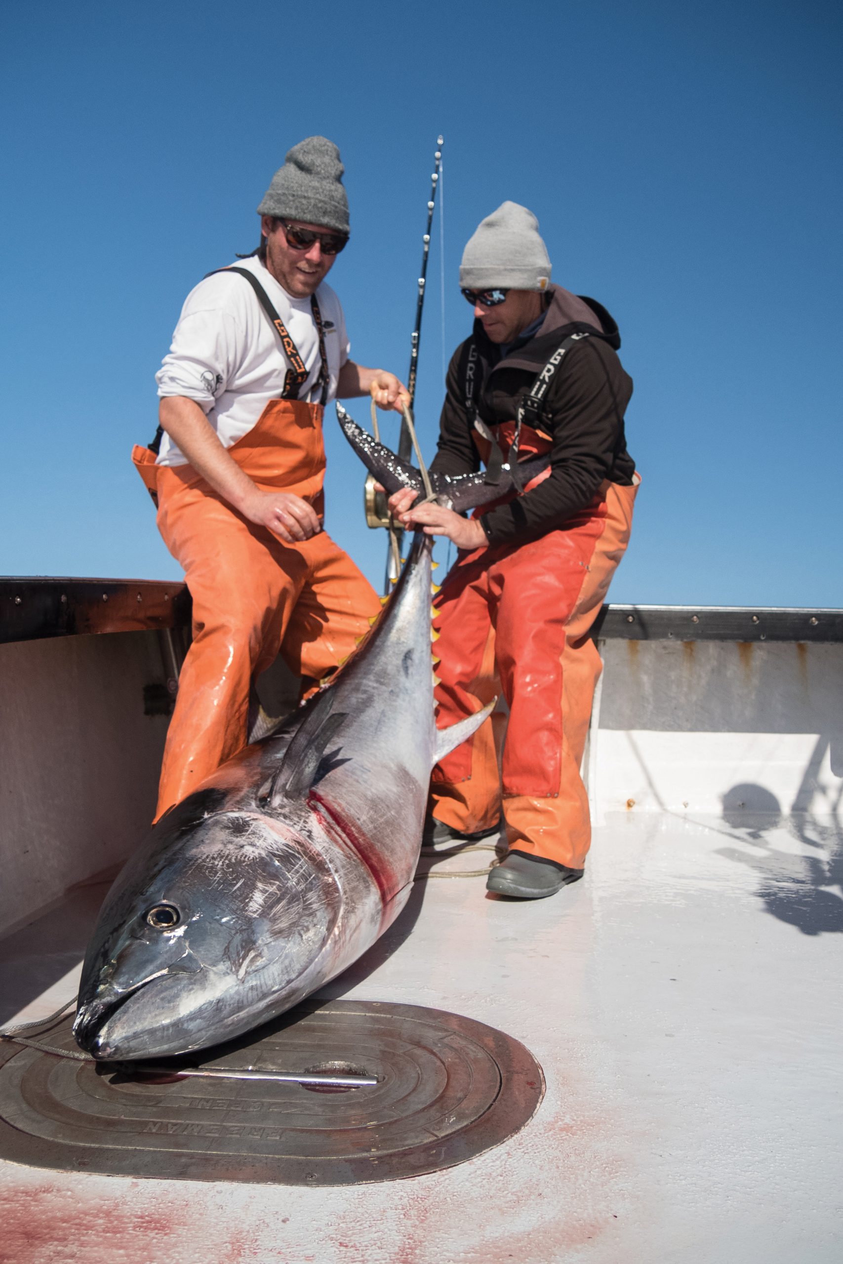 Tuna under 73-inches, like this one held by Lange (left) and Clothier, can be kept by recreational anglers.