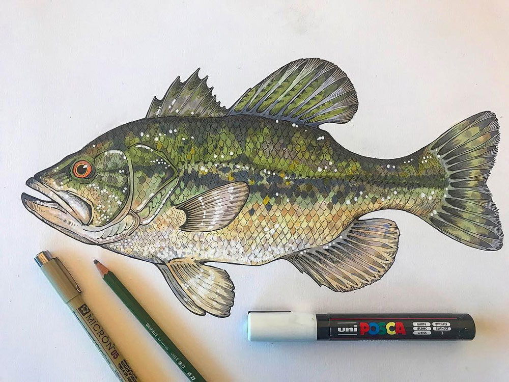 Peter James Glenn largemouth bass