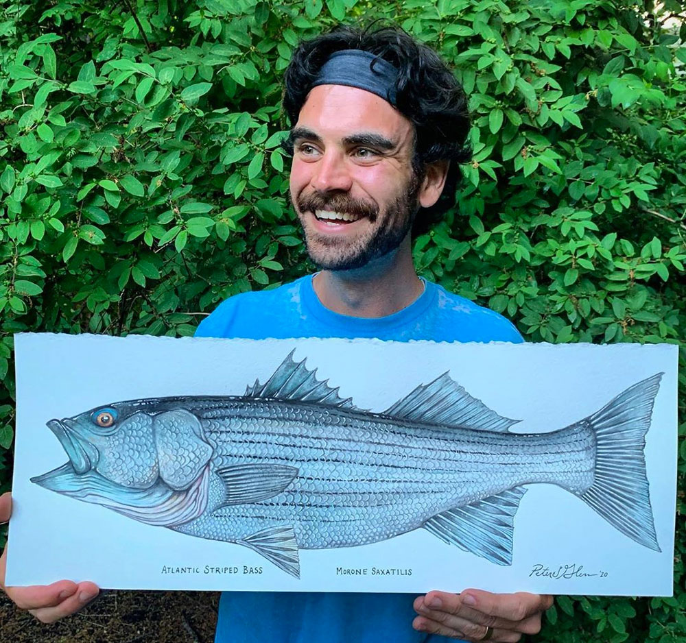 Peter James Glenn striped bass
