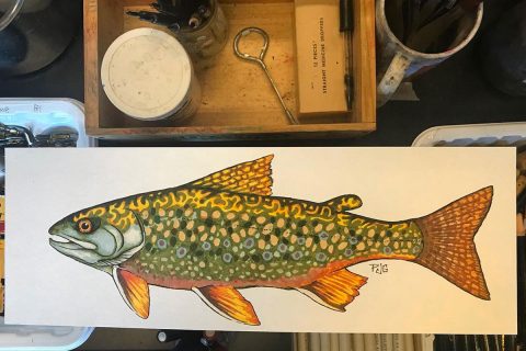 Peter James Glenn trout