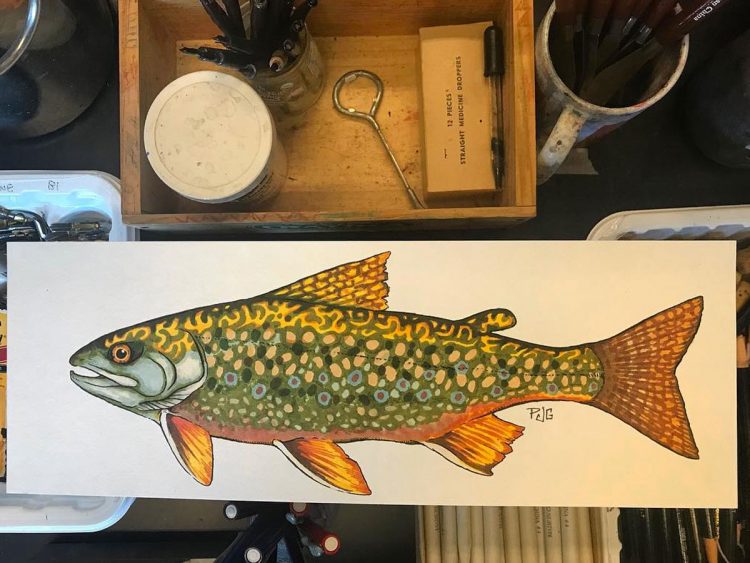 Peter James Glenn trout