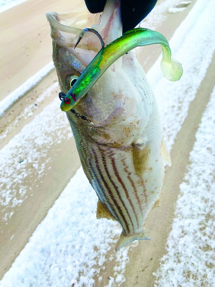 Slender lures, like soft-plastic paddletails and needlefish work well during the sand eel run.
