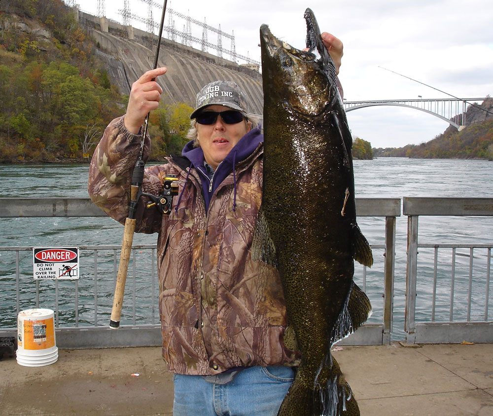 Mike Rzucidlo king salmon