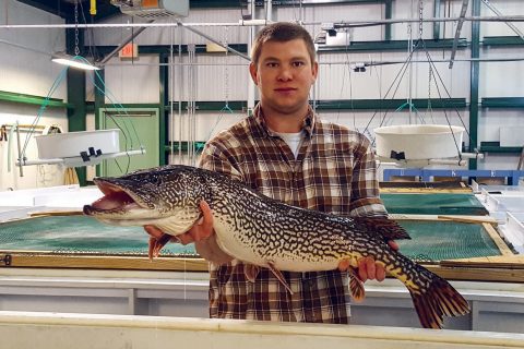 9 Spots for New Jersey Northern Pike