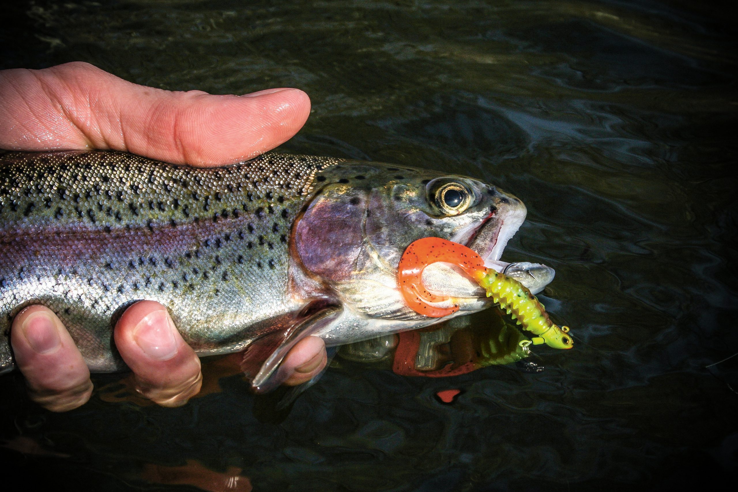 The catch everything power of the curly tail grub.