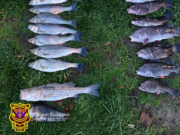 RI DEM seized stripers and tautog