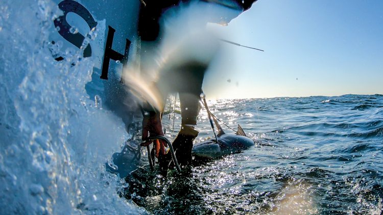 Lange sets a tail rope on a 70-inch bluefin.