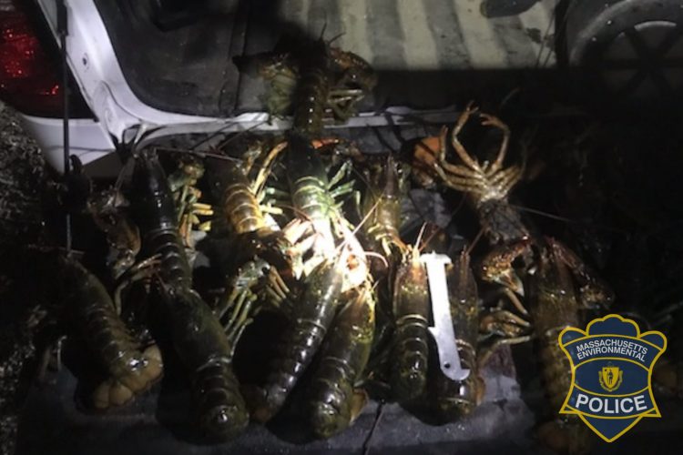 Mass. Environmental Police found two divers in illegal possession of lobsters on the north shore in early December.