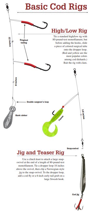 High/Low Rigs and Jig and Teaser Rigs are two of the more common ways to catch cod.