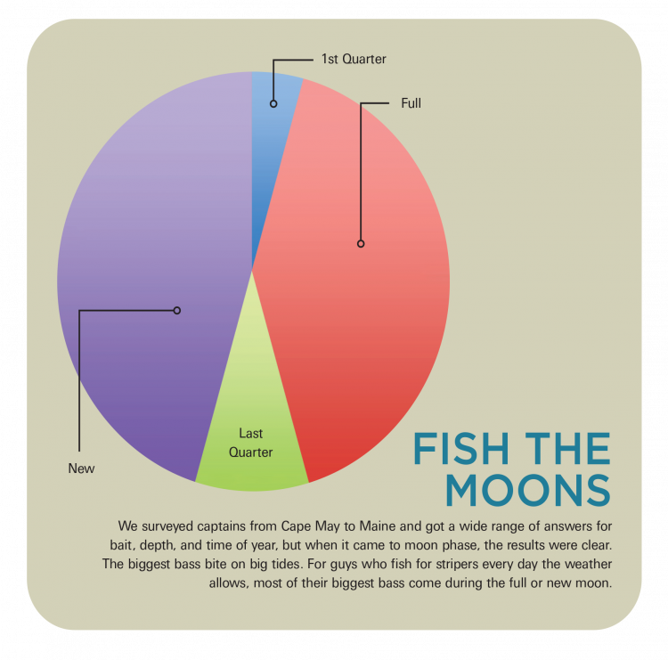 Fishing around the new-and-full moons offers the best opportunity to catch a trophy striper.