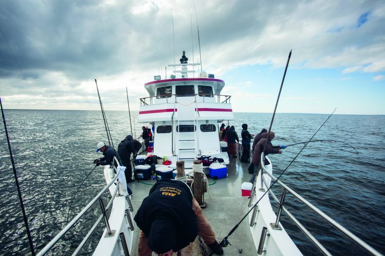 The action aboard a party boat is often fast once the captain locates a feeding school of cod.