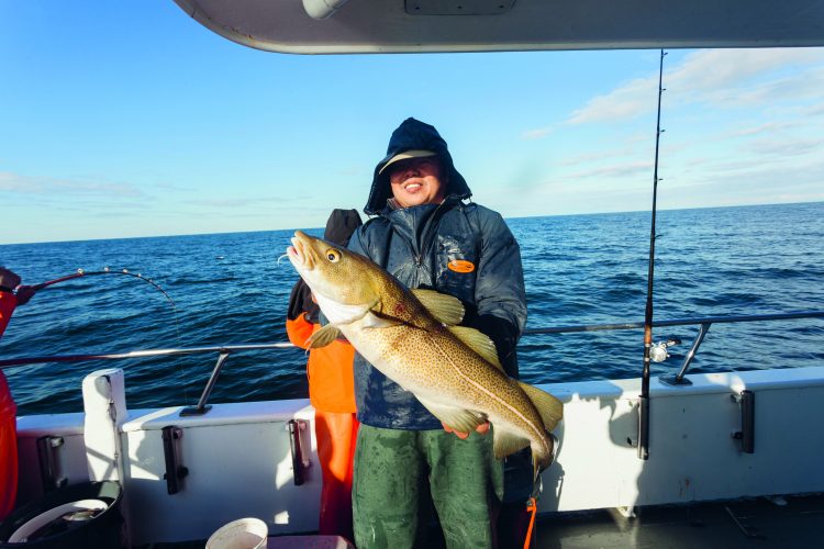 Larger cod have become more common on the winter Block Island cod grounds.