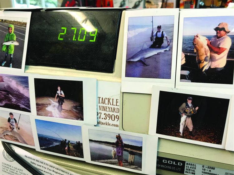 Angler photos adorn the shop, showing off local catches.
