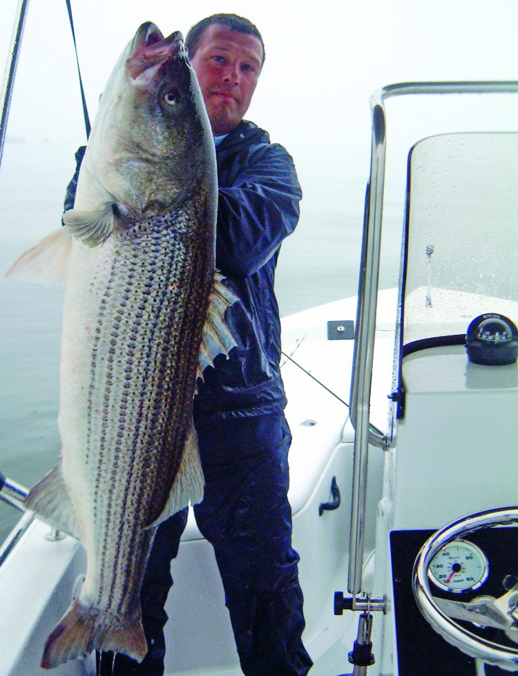 The tube and worm may be a weird-looking lure, but there's no disputing its effectiveness on large stripers. Captain Chris Elser displays a Long Island Sound monster that fell to the tube and worm.