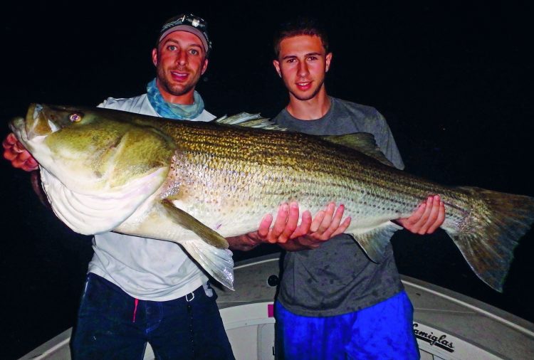 Learning your home waters inside and out will pay dividends with large stripers. This 55-pounder caught with Captain Mike Roy (left) was the culmination of years of experience learning the conditions and locations that produce big fish.