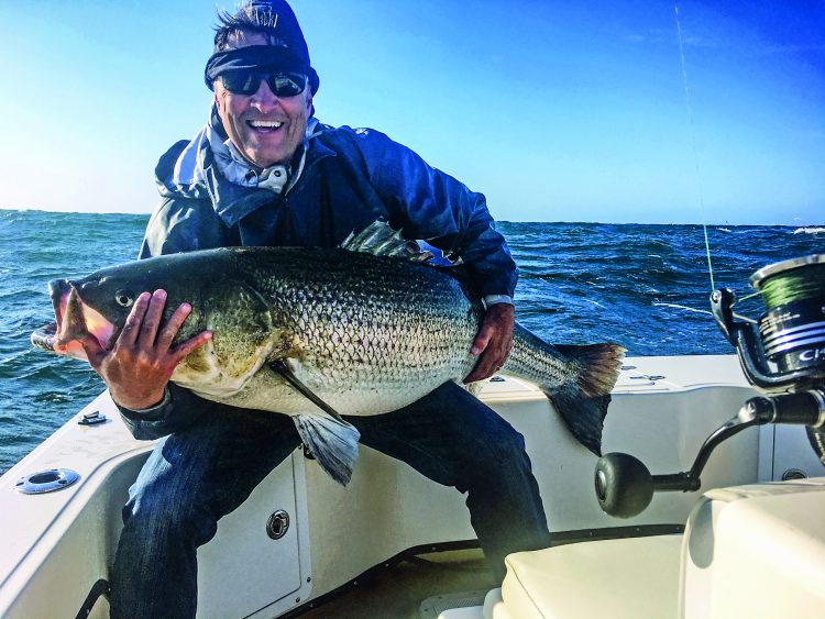 When sand eels are around, big stripers regularly eat small lures. This giant Block Island bass hit a 6-inch Slug-Go on a trip with Captain Chris Willi.