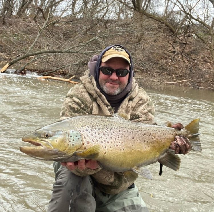 Recent catches in the Tribs, courtesy of Jeff Sturgill.