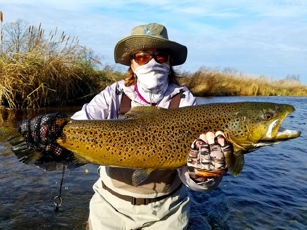 Sandy Creek brown trout
