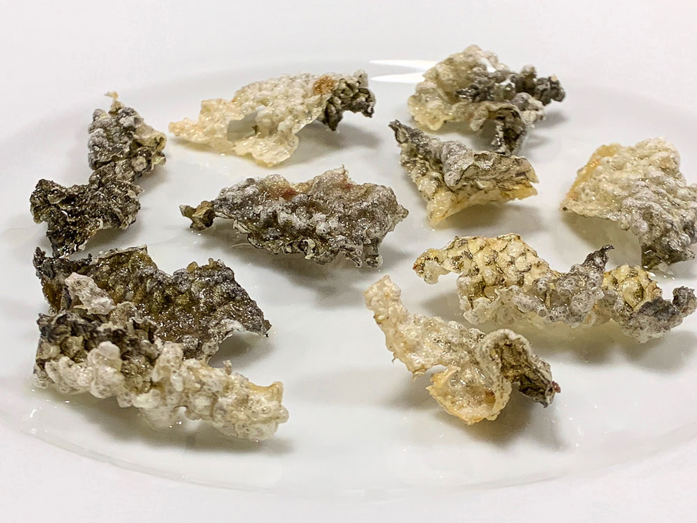 chicharrones