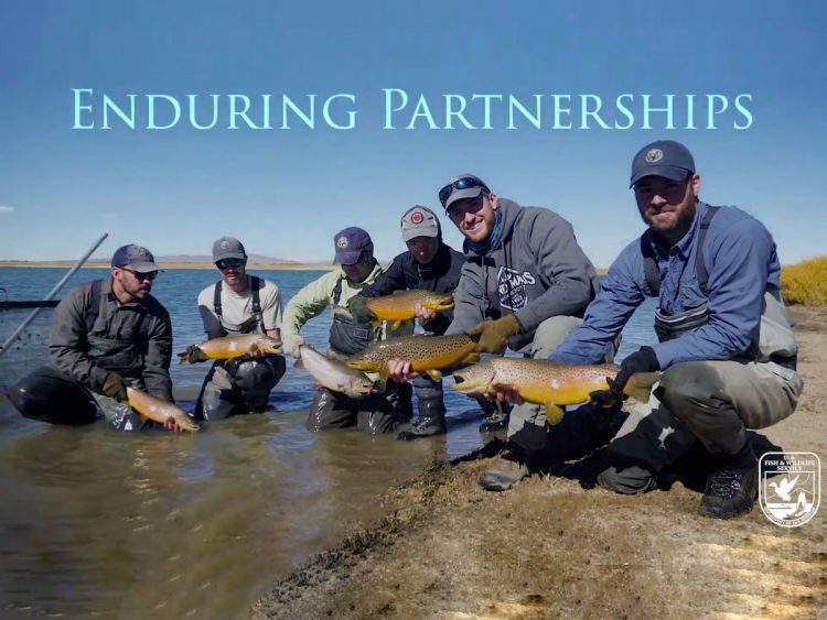 Enduring Partnerships