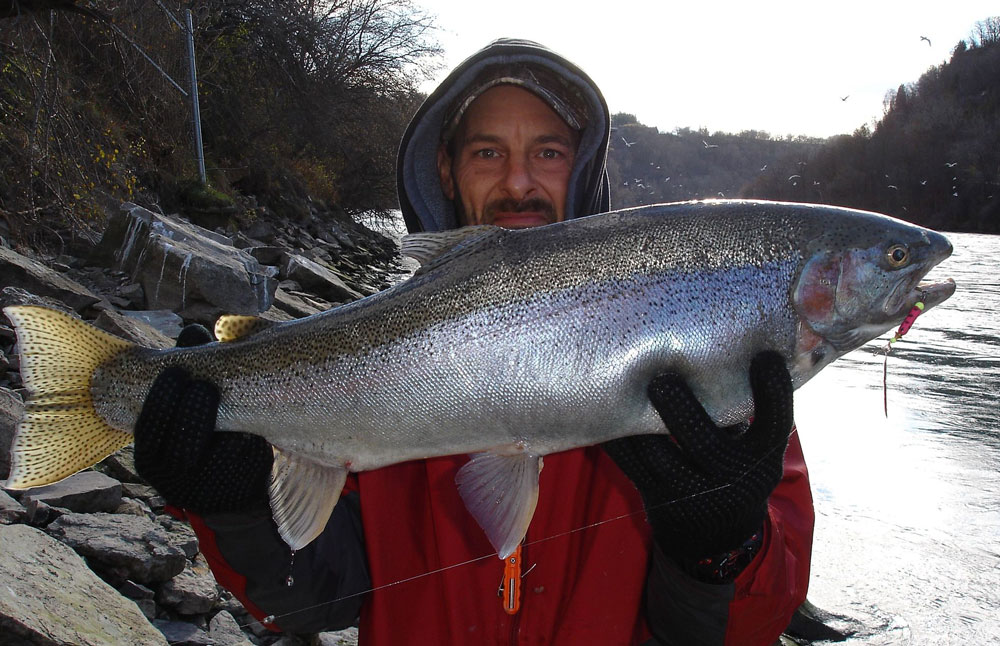 Mike Ziehm steelhead