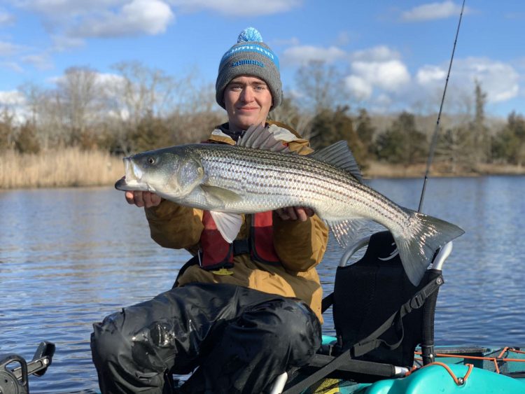 Evan Kamoen holding a holdover striper from a recent kayak fishing trip.