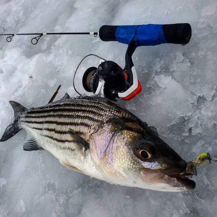 Photo Credit: Joe Diorio