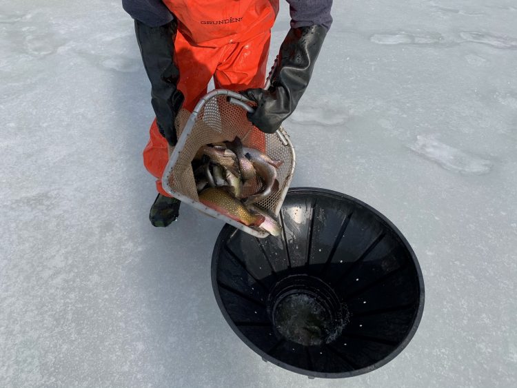 Photo Credit: CT Fish and Wildlife