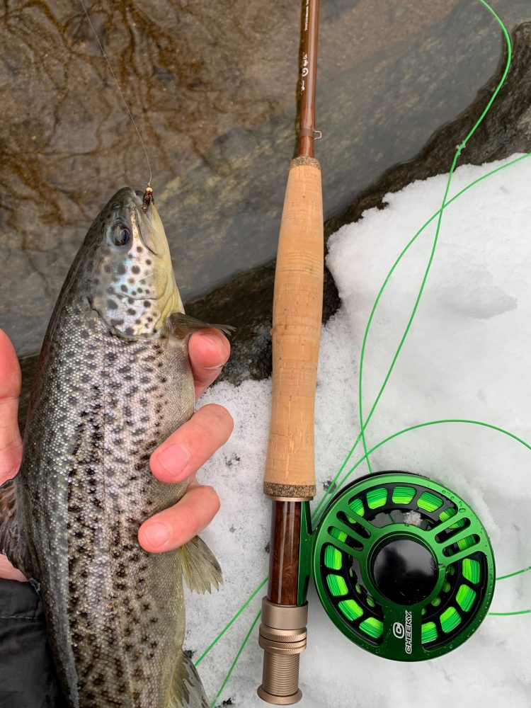 Photo Credit: Evan Kamoen