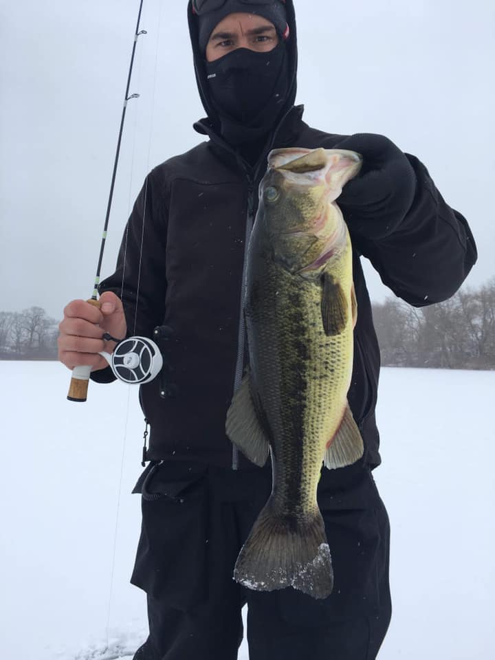 Photo Courtesy of David Henault.