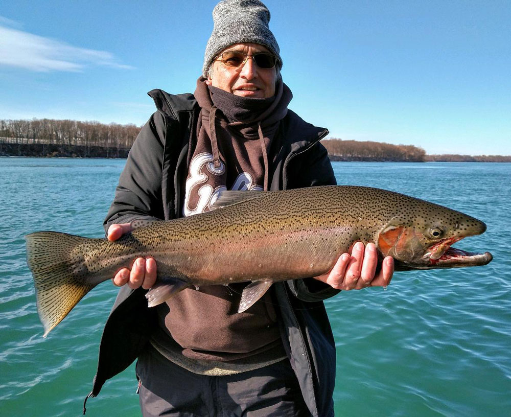 Mike Dahar steelhead