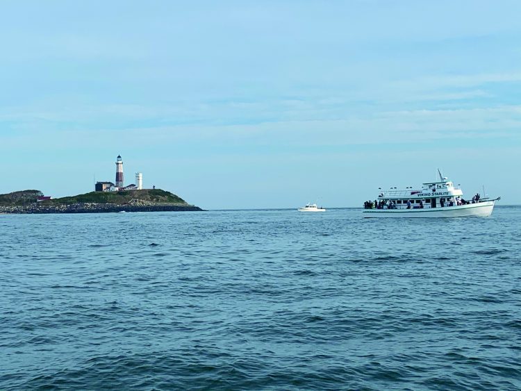 Montauk fluke fishing can happen close to the land, making it very accessible.