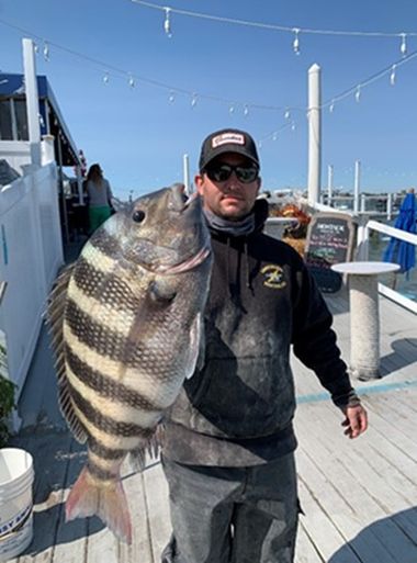 Photo Credit: New York Dept. of Environmental Conservation. James Torborg with record-breaking 13.90-pound sheepshead.