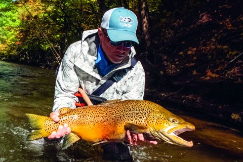 Follow these fishing tips to catch large brown trout at Lake Ontario and the surrounding tributaries.